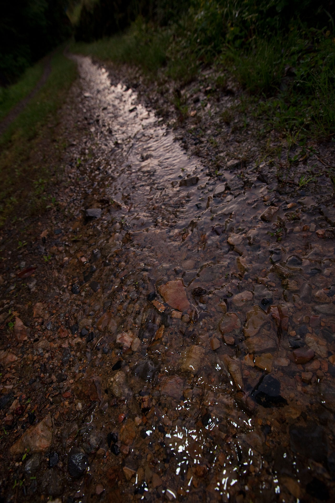 d0073620_21365138.jpg
