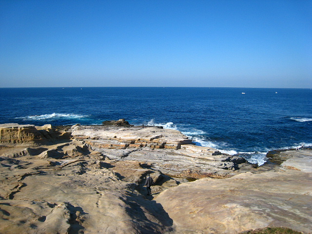 a0084621_1582825.jpg