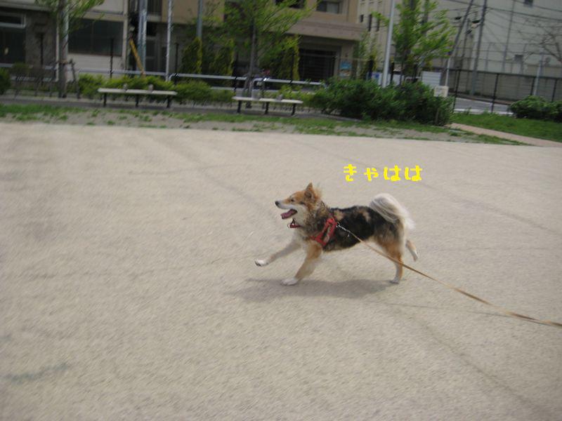 d0046821_1549399.jpg