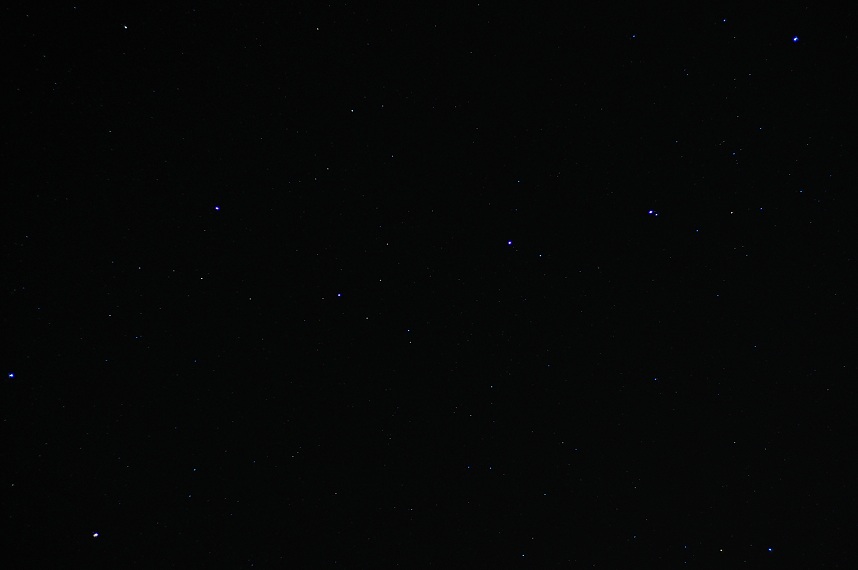 d0159222_07756.jpg
