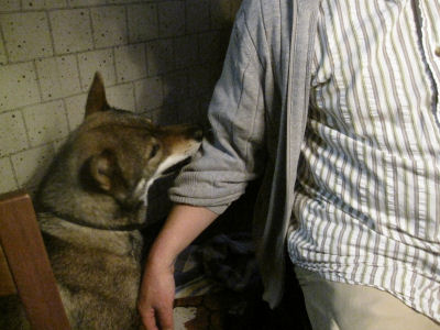 f0143123_2013511.jpg