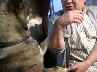f0143123_20143891.jpg