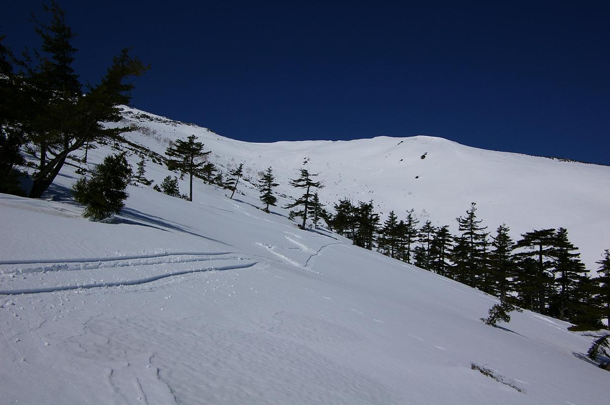 b0062024_9263129.jpg