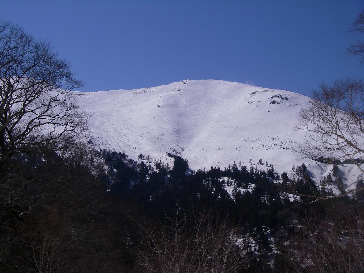 b0062024_9561857.jpg