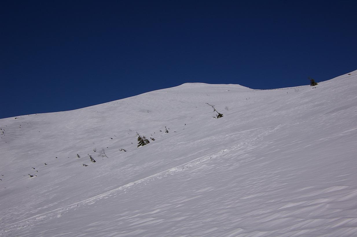 b0062024_961621.jpg