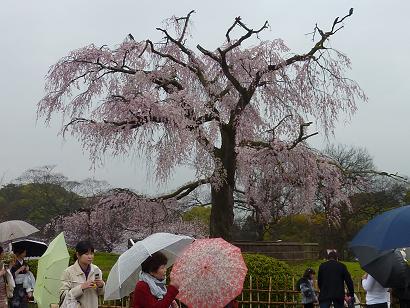 京都見物_e0154324_1321689.jpg