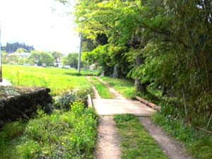 d0132128_19545182.jpg