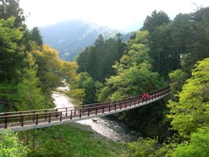 d0132128_2024365.jpg