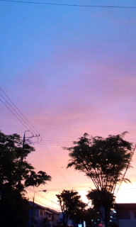 e0131432_18461023.jpg