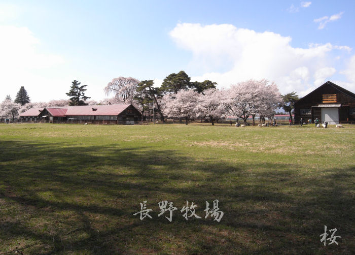 c0128234_1114688.jpg