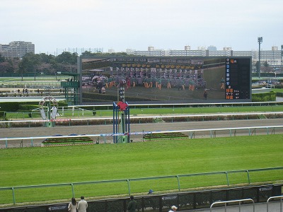 Club A-PAT　競馬場観戦席プレゼント当選　その2_a0055835_2301214.jpg