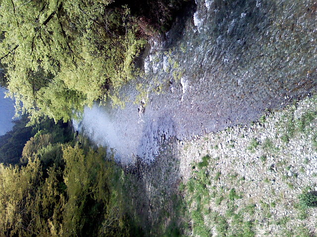 f0223036_1853074.jpg