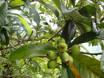 c0183137_22182544.jpg