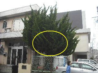 f0031037_1913155.jpg