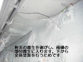 f0031037_19492214.jpg
