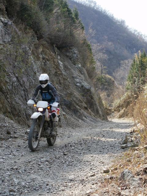 a0143839_06798.jpg