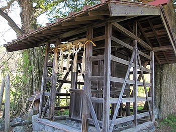 c0088739_2321762.jpg