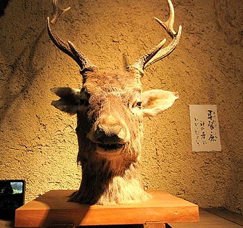 c0088739_236691.jpg