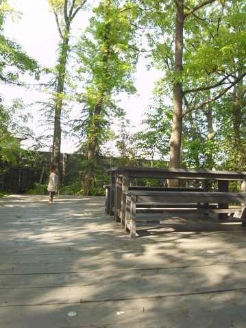 e0147641_10413062.jpg