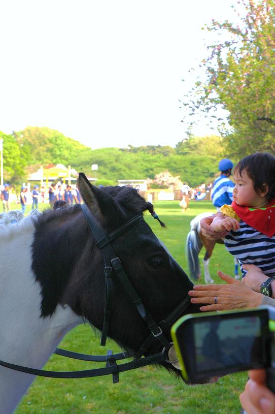 JRA HORSE SHOW_e0095142_2010478.jpg