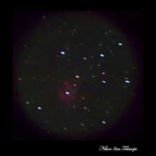 b0167343_012878.jpg