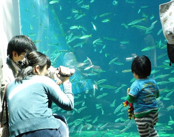 5月6日(木) 帰京いたしました_d0082944_030869.jpg