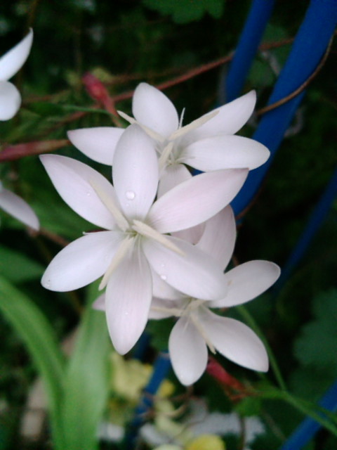f0236744_23471012.jpg