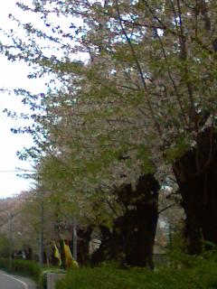 a0078146_2334999.jpg