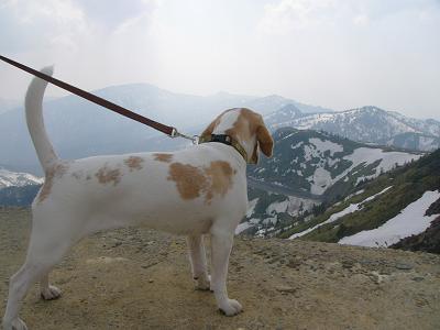 e0095048_14321955.jpg