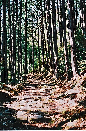 e0156251_233621.jpg
