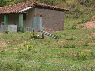 a0137054_1410266.jpg