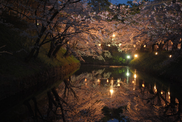 弘前　～桜の旅～_f0119255_8135062.jpg