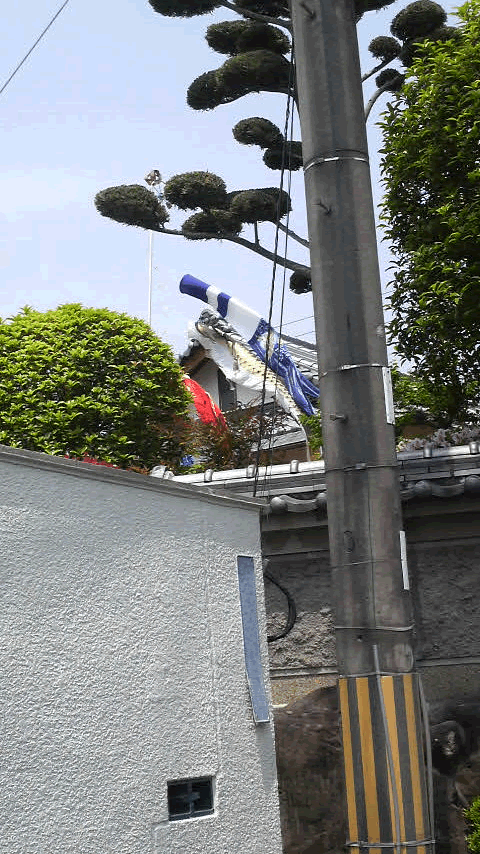 c0185356_1761383.gif
