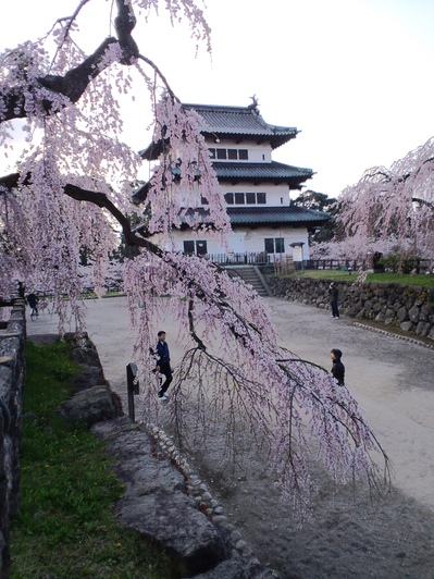 f0104457_56442.jpg