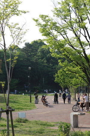 公園でランチ　その３_b0132258_23395423.jpg