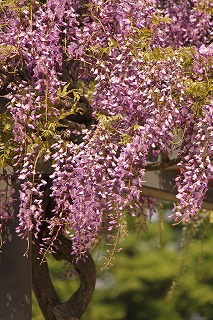 e0129958_1292121.jpg