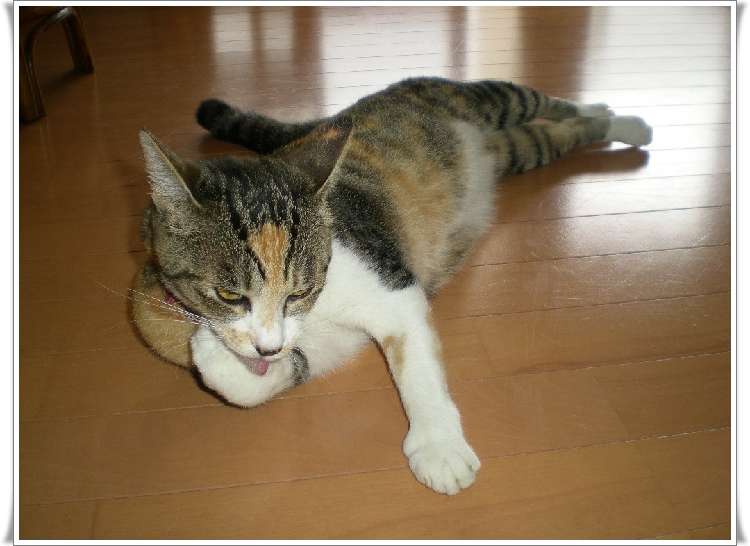 2010年5月7日(金)天才は努力で作られる?_f0060461_101516.jpg