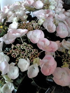 d0052263_0212018.jpg