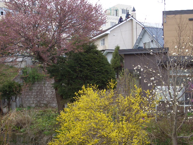 d0098665_1917569.jpg