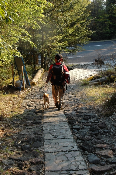 モコの本格的な登山デビュー ～大浪池周回　②周回コース～_e0013365_7403279.jpg