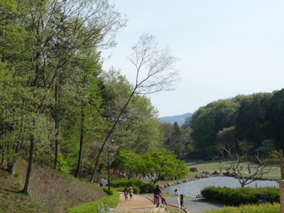 e0159865_064299.jpg