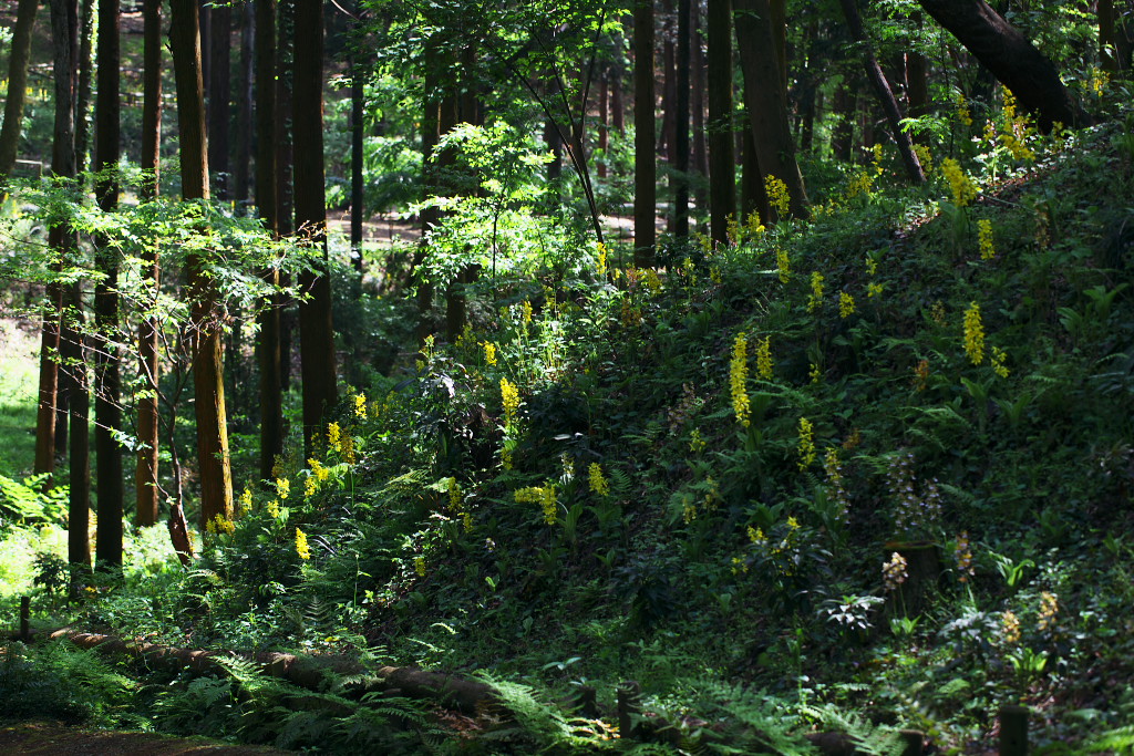 f0171065_20445797.jpg