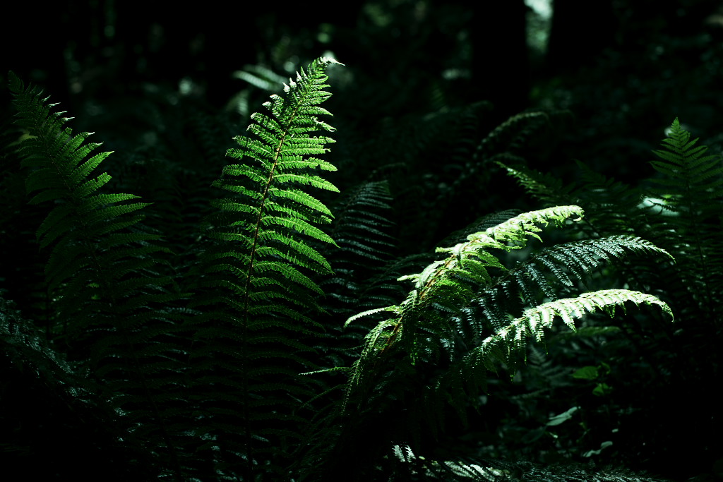 f0171065_20522081.jpg