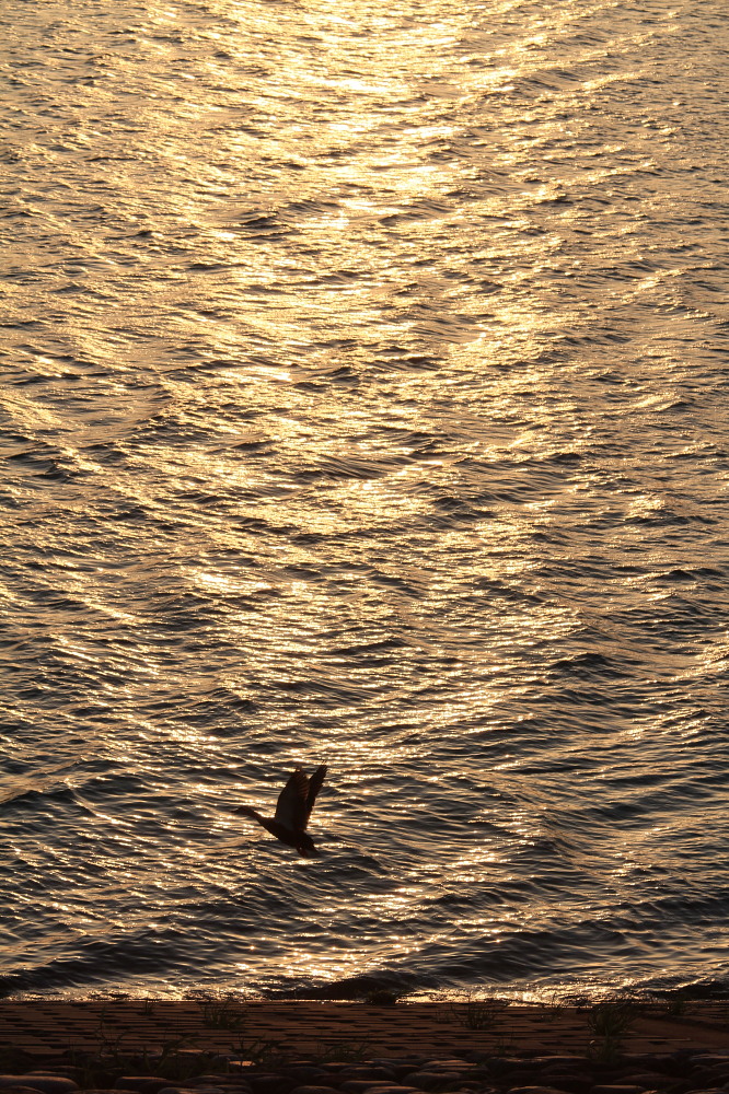 a0146869_64216.jpg