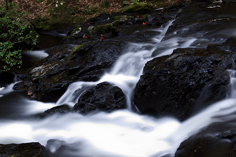 a0050572_031468.jpg