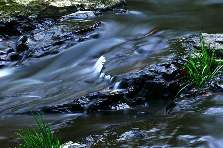 a0050572_035346.jpg