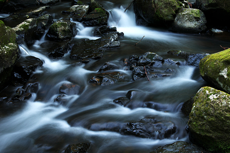 a0050572_04142.jpg