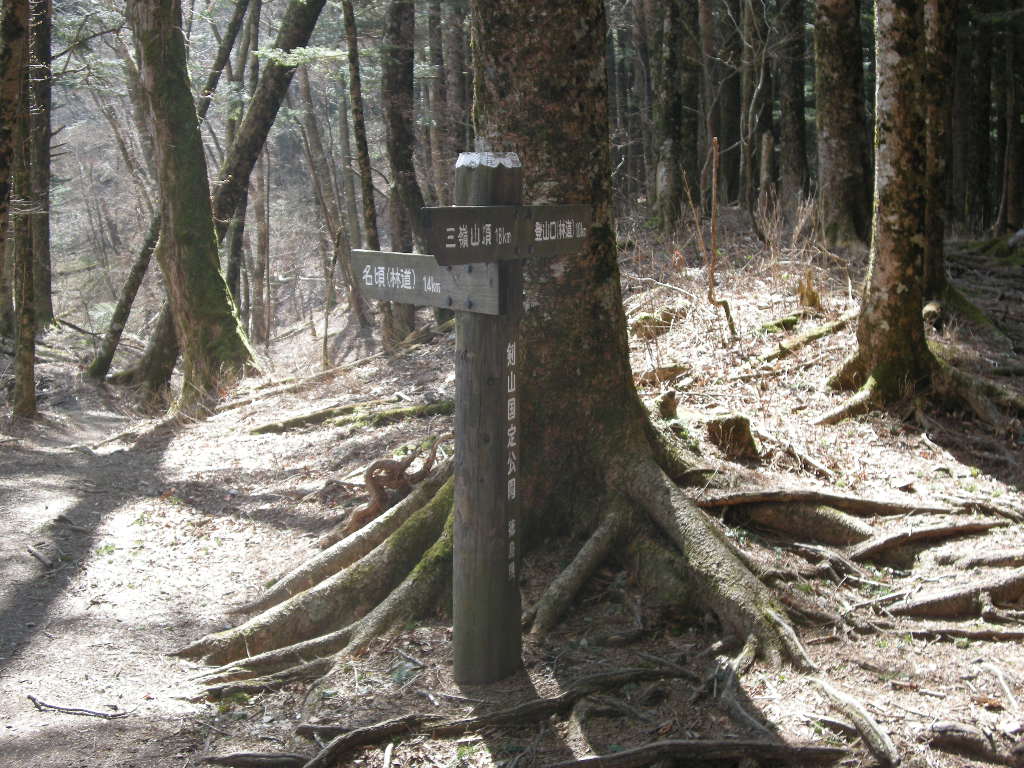 ゴールデンウイークは四国　塔丸・三嶺～天狗塚・赤星山へ_b0185573_16484071.jpg