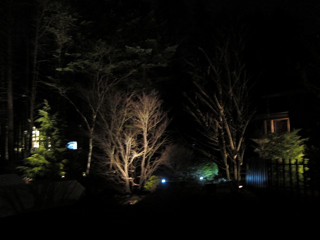 d0133485_17113711.jpg