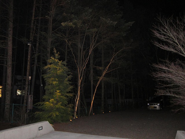 d0133485_177911.jpg